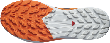 Кецове и обувки Salomon SENSE RIDE 5 GTX Черно | l47459400, 4