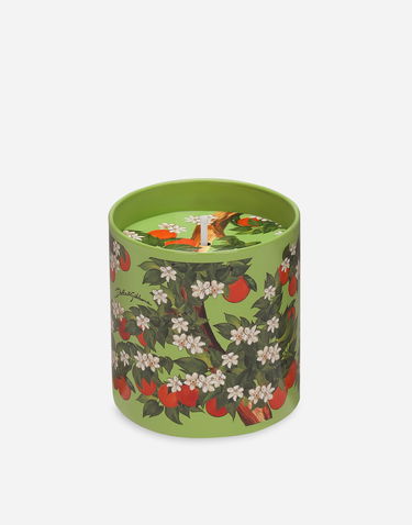 Свещи Dolce & Gabbana Dolce & Gabbana Sicilian Orange Scented Candle Зелено | TCC159TCAG3U0044, 2