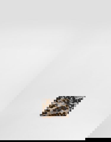 Портфейл Dolce & Gabbana Dauphine Leopard Print Card Holder With Plate Многоцветен | BI0330AX566HY13M, 2