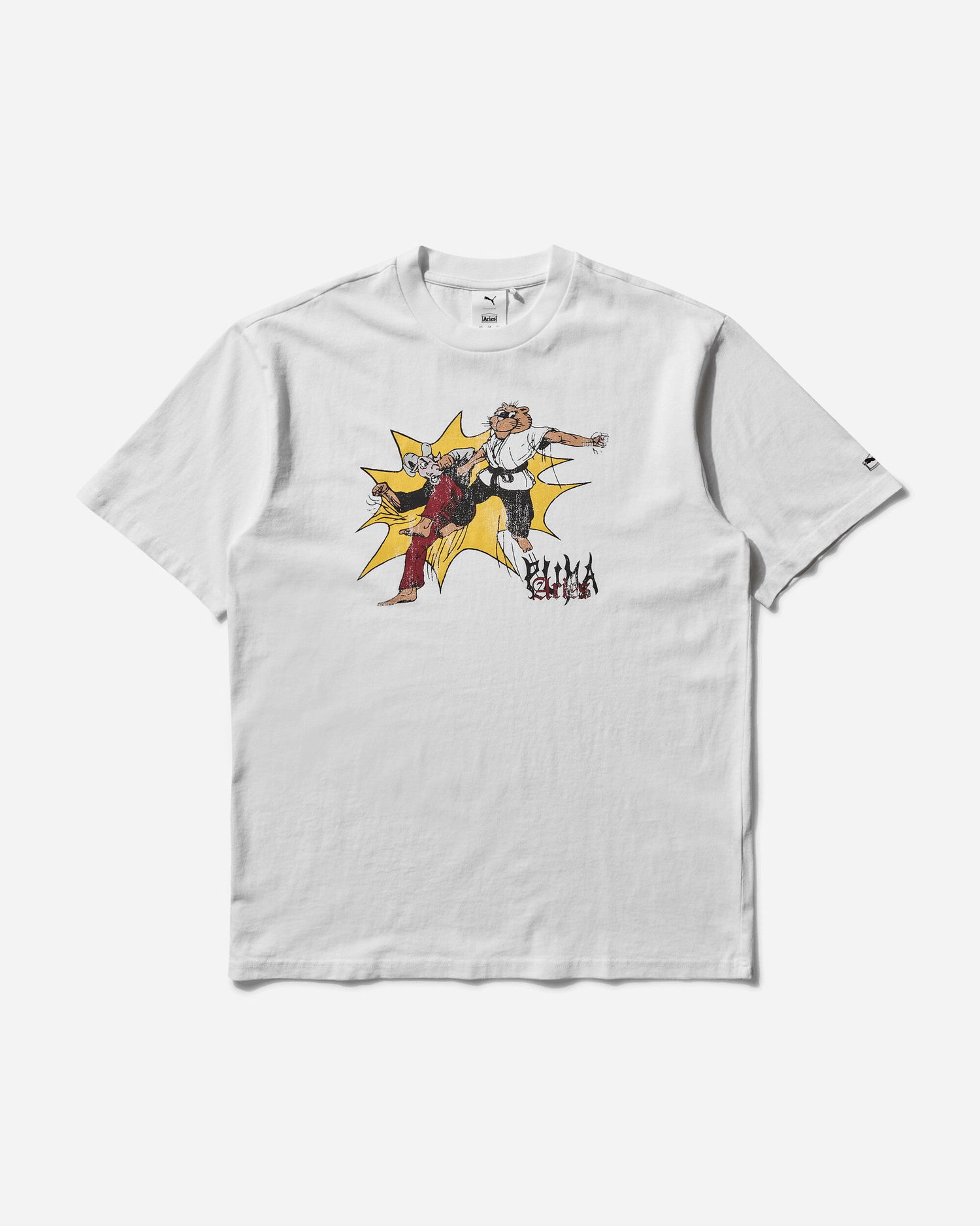 Тениска Puma Aries Graphic T-Shirt Бяло | 629495-02, 0