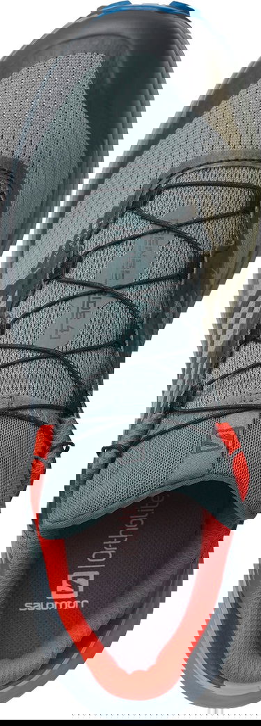 Кецове и обувки Salomon Sense Ride 4 GTX Invisible Сиво | l41377800, 4