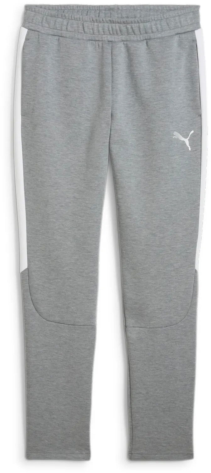 Спортни панталони Puma Puma teamEVOSTRIPE Pants Сиво | 659948-33, 0