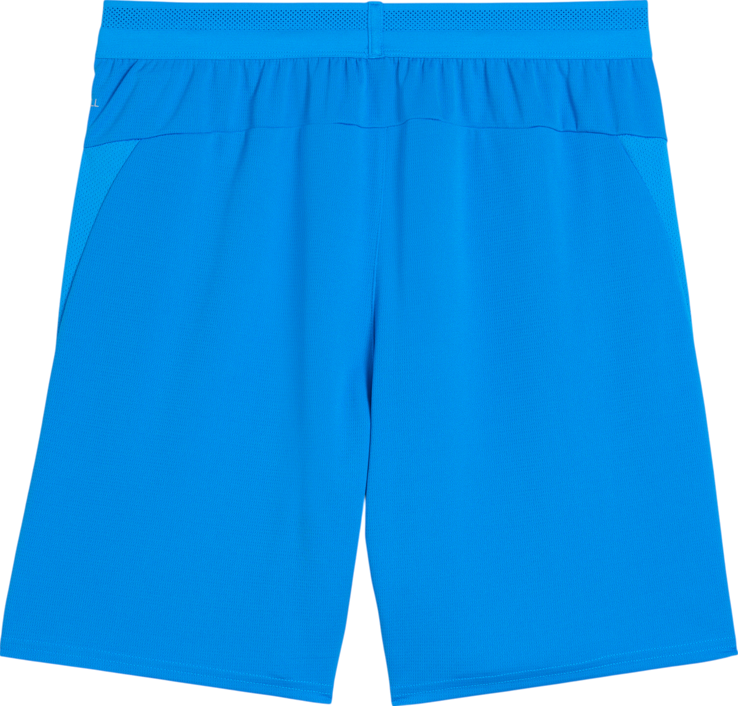 Къси панталони Puma teamCup Dry-Fit Mesh Performance Shorts Синьо | 706275-02, 1