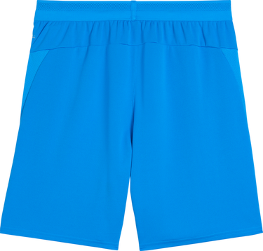 Къси панталони Puma teamCup Dry-Fit Mesh Performance Shorts Синьо | 706275-02, 1