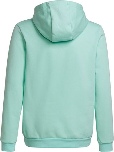 Суитчър adidas Originals ENT22 Hoodie Зелено | hc5066, 1