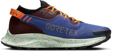 Кецове и обувки Nike Pegasus Trail 2 GTX Синьо | cu2016-600, 2