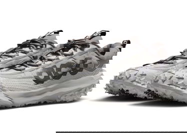 Кецове и обувки Nike ACG Mountain Fly 2 Low "Light Iron Ore" Сиво | DV7903-003, 1