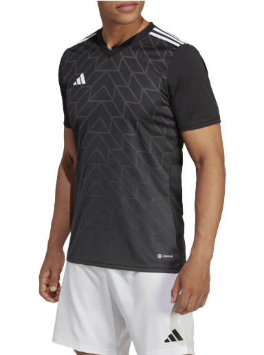 Team Icon 23
