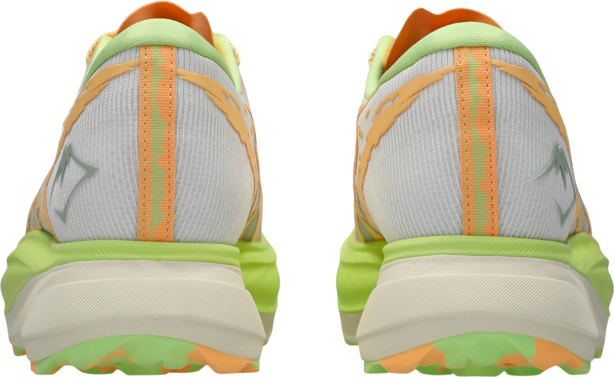 Кецове и обувки Asics METAFUJI TRAIL Многоцветен | 1013a141-100, 1