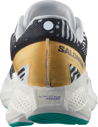 Кецове и обувки Salomon AERO GLIDE 3 PROTO PACK Многоцветен | l47759900, 2