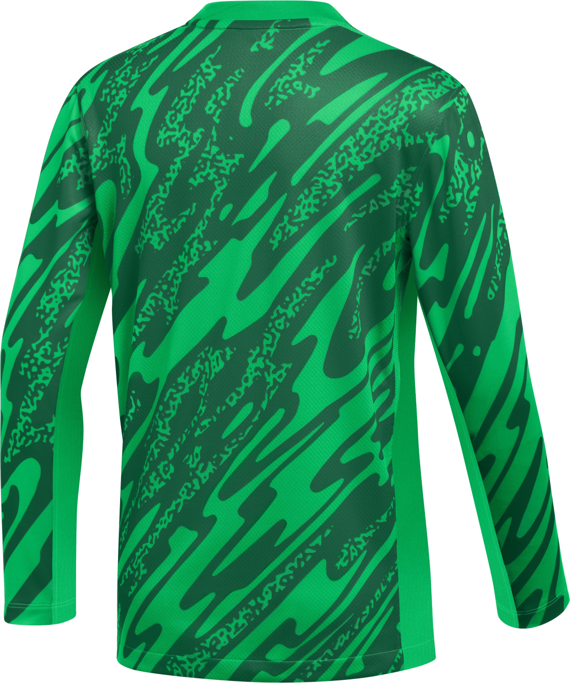 Фланелка Nike Nike Y NK DF Gardien V GK Long Sleeve Soccer Jersey Зелено | fd7480-329, 1