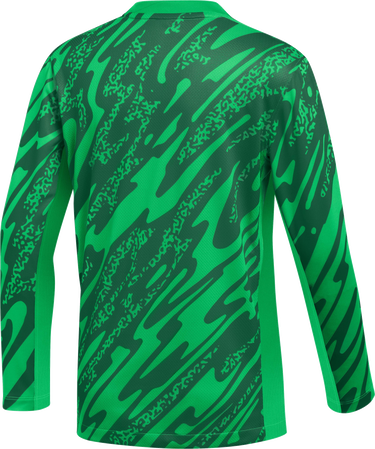 Фланелка Nike Nike Y NK DF Gardien V GK Long Sleeve Soccer Jersey Зелено | fd7480-329, 1