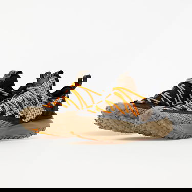 Кецове и обувки Nike ACG Mountain Fly Low Кафяво | DA5424-200, 4