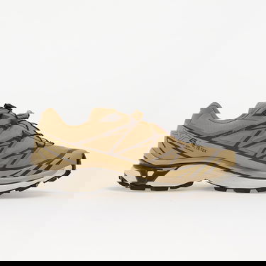 Кецове и обувки Salomon Salomon XT-6 GTX Кафяво | L47975000, 2