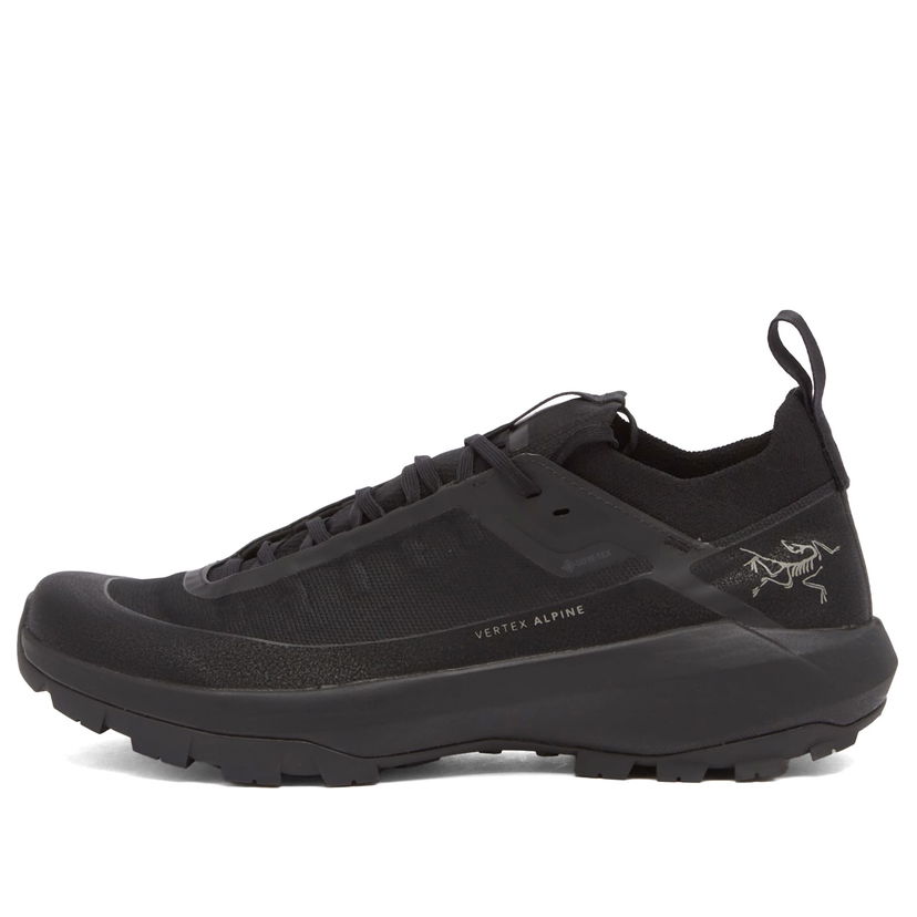 Кецове и обувки Arcteryx Vertex Alpine Gore-Tex Черно | X000009602-021572