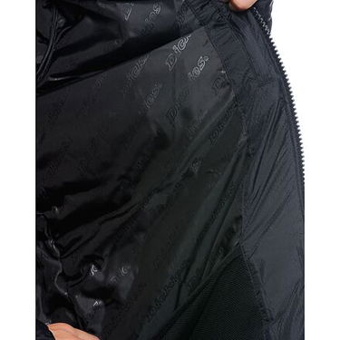 Пухо яке Dickies Waldenburg Hooded Jacket Black Черно | DK0A4YEYBLK1, 2