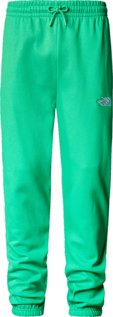 Спортни панталони The North Face Essentials sweatpants Зелено | nf0a7zjb-po8, 0