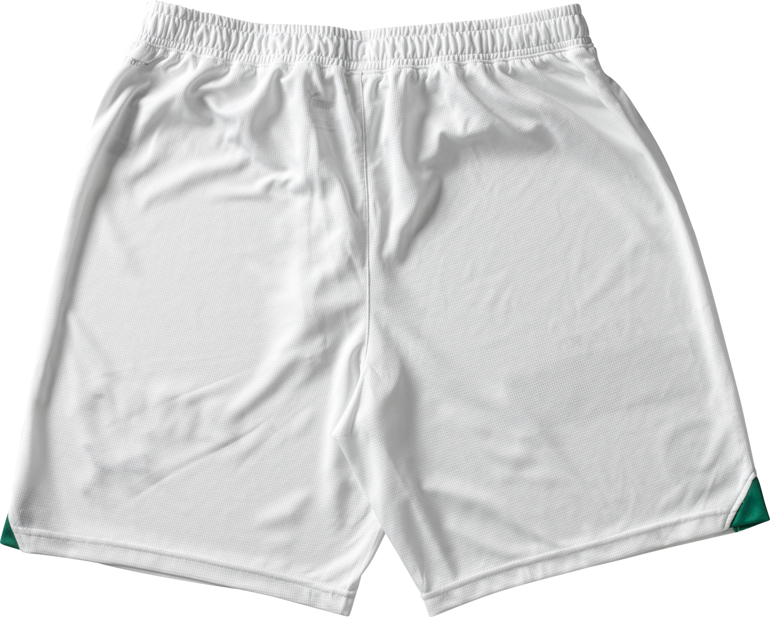 Къси панталони Puma FC St. Gallen Home Shorts 2023/2024 Бяло | fcsg775631-001, 1