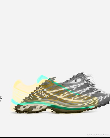 Кецове и обувки Salomon XT-6 "Brown" Кафяво | L47293500, 2