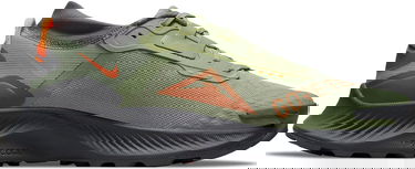 Кецове и обувки Nike Pegasus Trail 3 GTX Зелено | do6728-300, 2