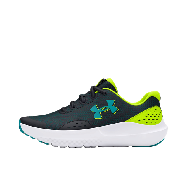 UA BGS Surge 4