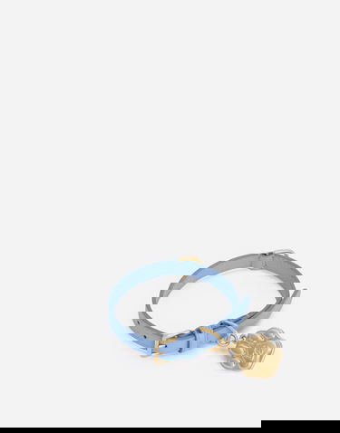 Flexstyle Dolce & Gabbana Dog Collar With Pendant Синьо | BD0009A645280620, 2