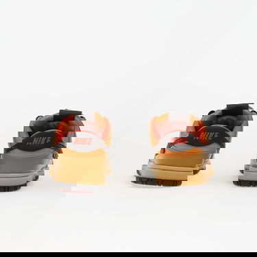 Кецове и обувки Nike Dunk Low Gtx Кафяво | HQ2053-700, 4