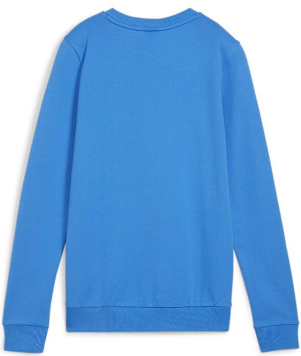 Суитчър Puma teamGOAL Casuals Sweatshirt Синьо | 658594-02, 1