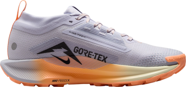 Кецове и обувки Nike Pegasus Trail 5 GORE-TEX Многоцветен | fq0912-011, 3