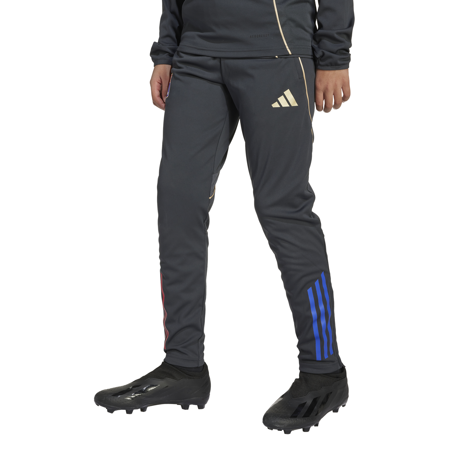 Спортни панталони adidas Originals Olympique Lyonnais TR Training Pants 2025/26 Черно | jl7682, 1