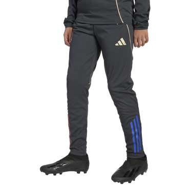 Спортни панталони adidas Originals Olympique Lyonnais TR Training Pants 2025/26 Черно | jl7682, 1