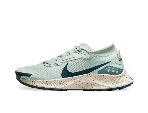 Бягане Nike Pegasus Trail 3 GTX Тюркоазено | dc8794-003