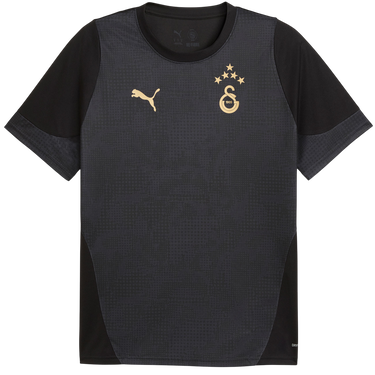 Фланелка Puma Galatasaray Training Jersey Черно | 949105-010, 0