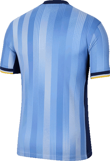 Фланелка Nike THFC M NK DF JSY SS STAD AW 2024/25 Тюркоазено | fn8788-480, 1