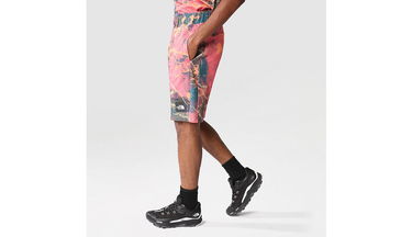 Къси панталони The North Face M Summer Logo Shorts Многоцветен | NF0A8237IOC, 5
