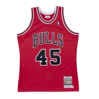 NBA Chicago Bulls Michael Jordan 1994-95 Authentic Jersey