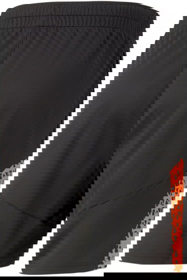 Къси панталони Puma individualCUP Training Shorts Сиво | 658293-050, 1