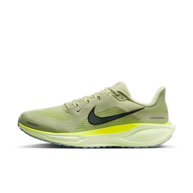 Pegasus 41