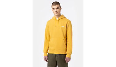 Суитчър Dickies Camden Box Hoodie Жълто | DK0A4XYSC96, 3