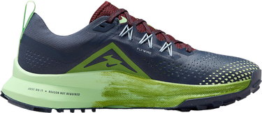 Кецове и обувки Nike Pegasus Trail 4 Многоцветен | dj6159-403, 2
