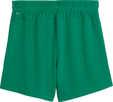 Къси панталони Puma Puma teamGOAL Handball Shorts Зелено | 706019-05, 1