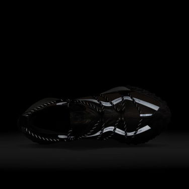 Кецове и обувки Nike ACG Mountain Fly Low SE Кафяво | DQ1979-001, 1