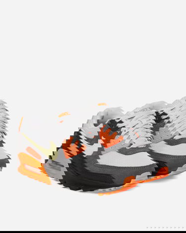 Кецове и обувки Nike Air Max 90 Многоцветен | DM0029-018, 2