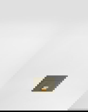 Портфейл Dolce & Gabbana Plongé Calfskin Card Holder Зелено | BI0330A9S2580560, 3