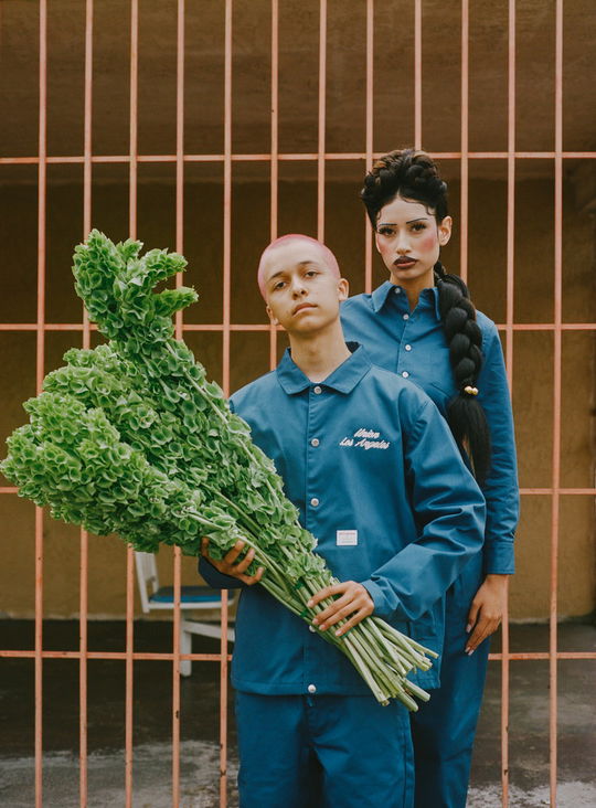 Dickies