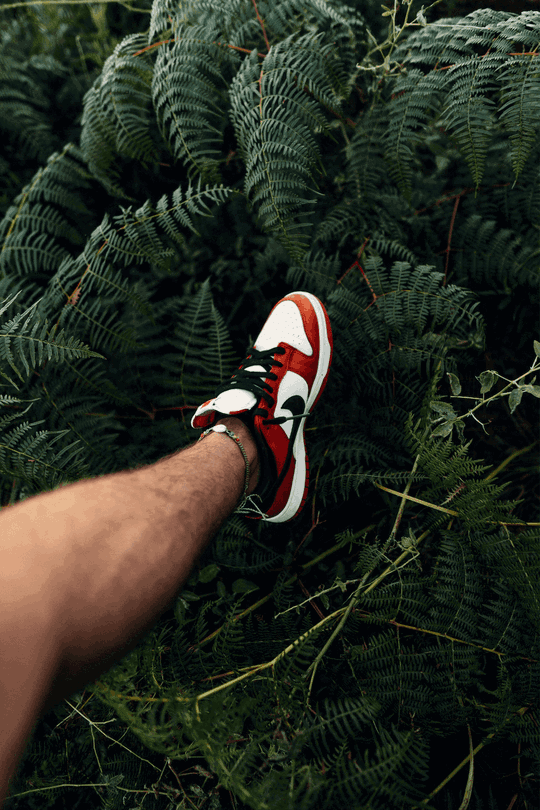 SoleHUB